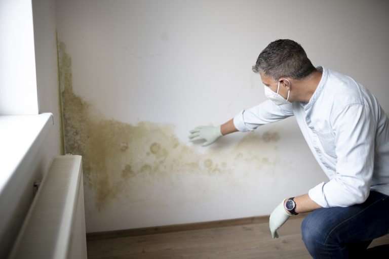 rising damp hertfordshire